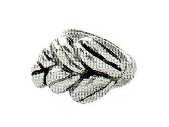 Anillo Unode50 espiga plateado