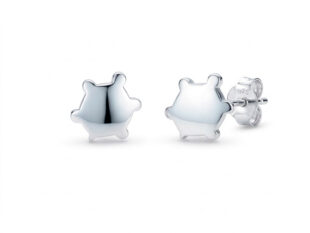 Pendientes tortuga plata grande