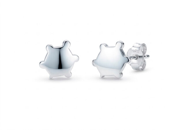 Pendientes tortuga plata grande