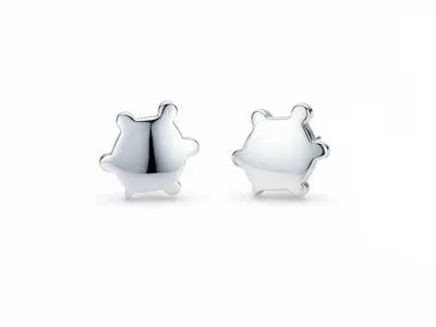 Pendientes tortuga plata grande