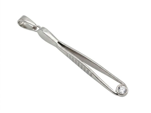 Colgante pinzas de plata
