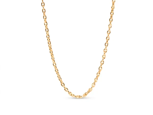 Cadena plata chapada oro