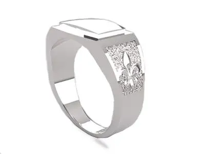 Sello de plata de caballero grande rectangular con flor de lis