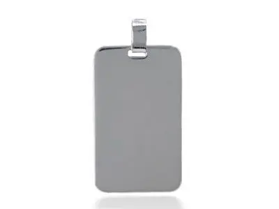 Placa Rectangular grande plata