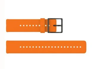 Correa Polar Ignite