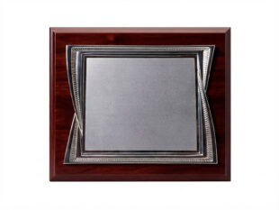 Placa conmemorativa alpaca plateada